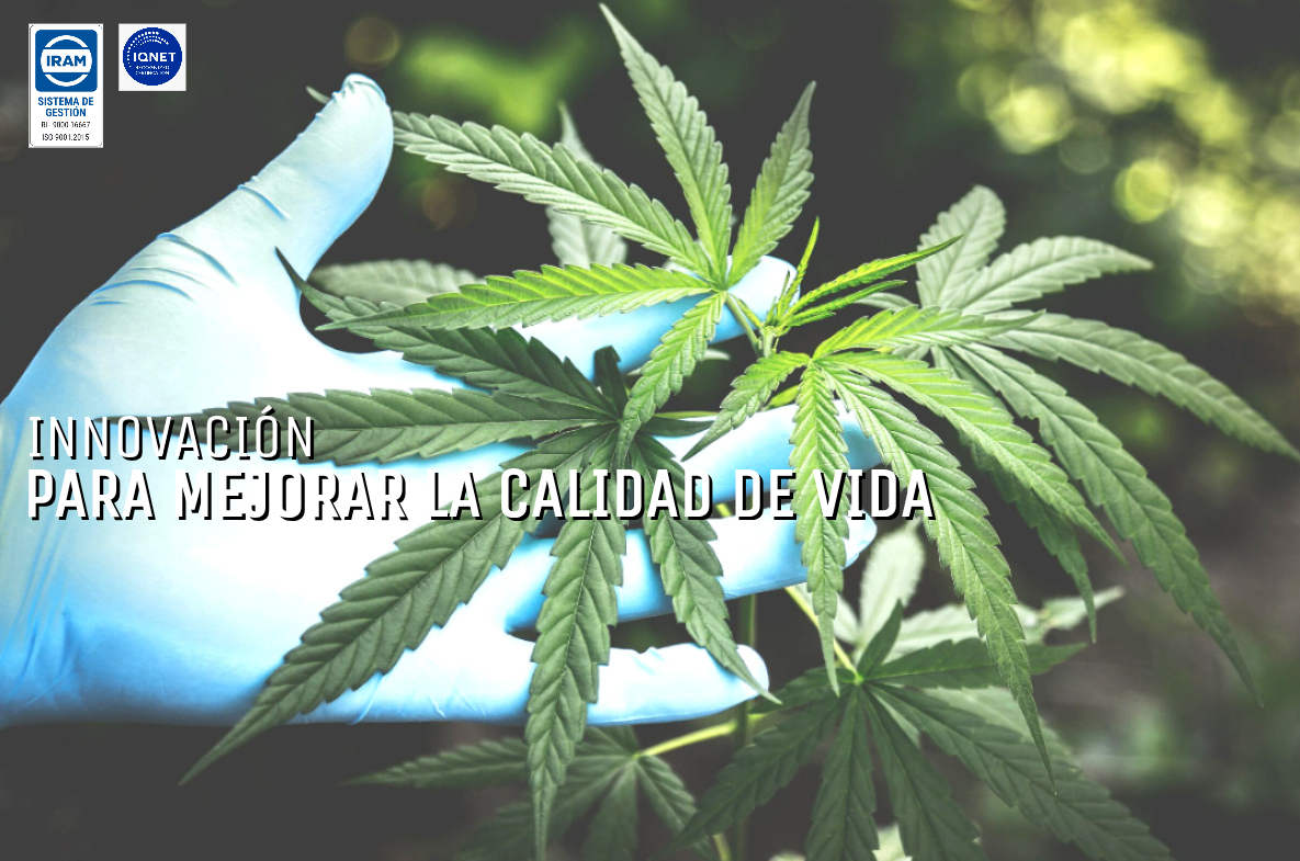 CanMe-Innovación